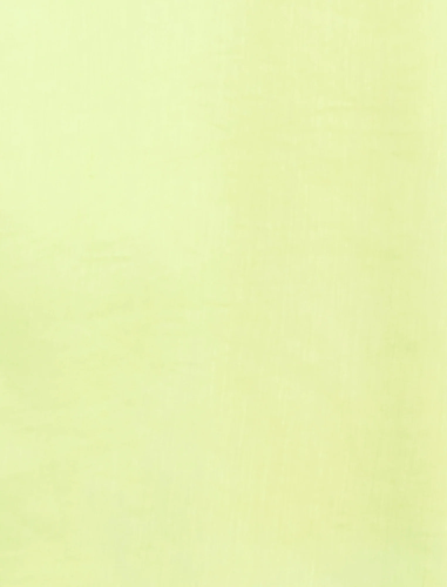 Airy Sheer Textured Pant - Builderot